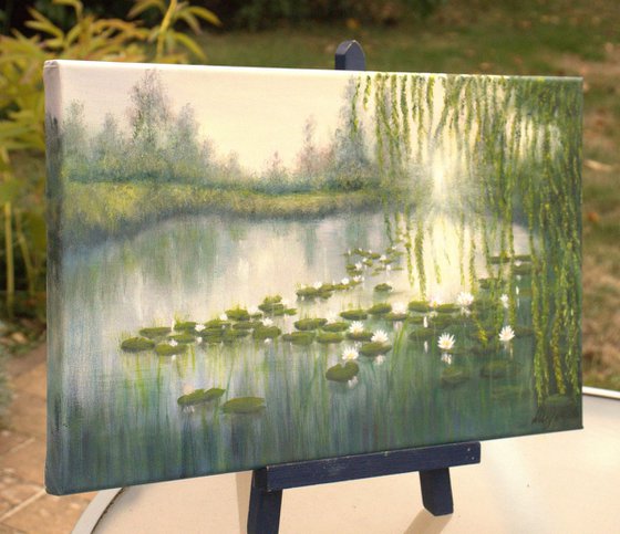 Lily pond