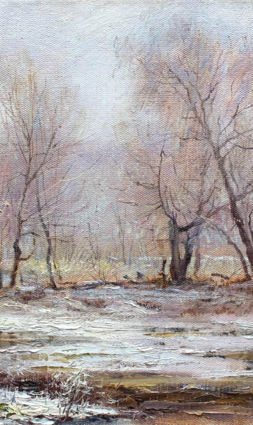 First snow by Volodymyr Tarabanov