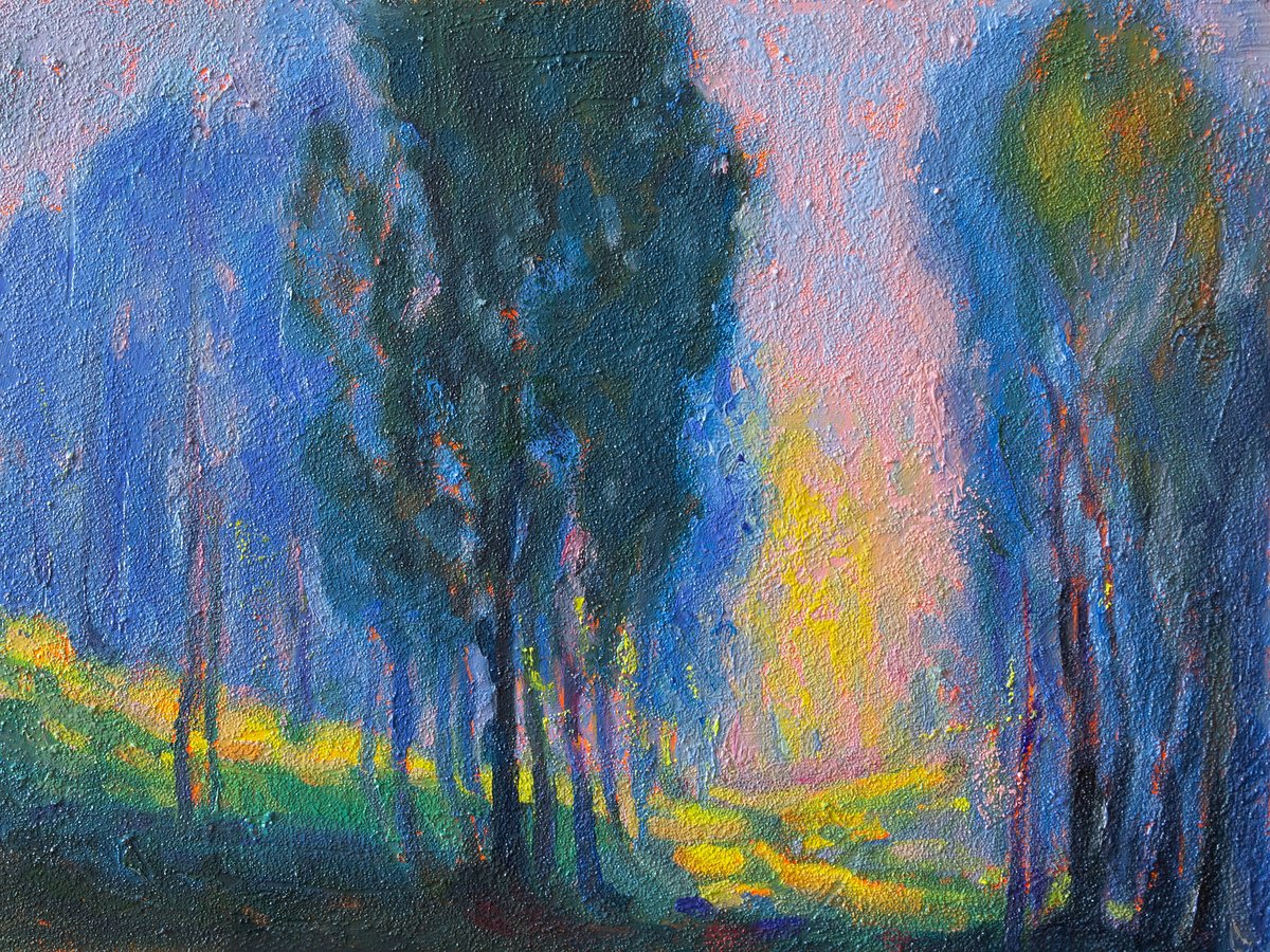 Impressionistic Landscape Oil Painting By Daria Zavadenko, 16 X 12, Into The Light, Original Artwork
