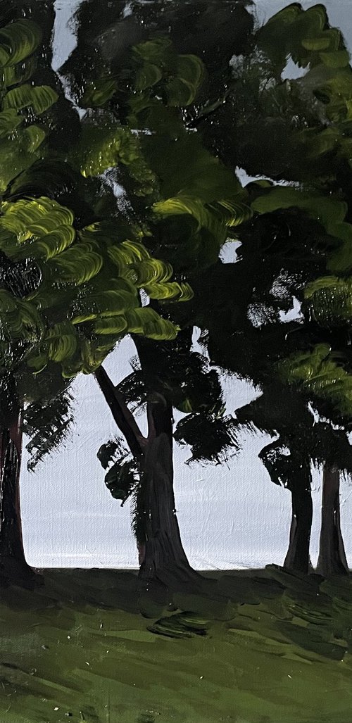 Inverleith Park, Edinburgh by Stephen Howard Harrison