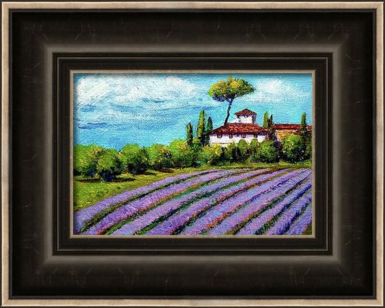 Miniature landscape of Lavender fields