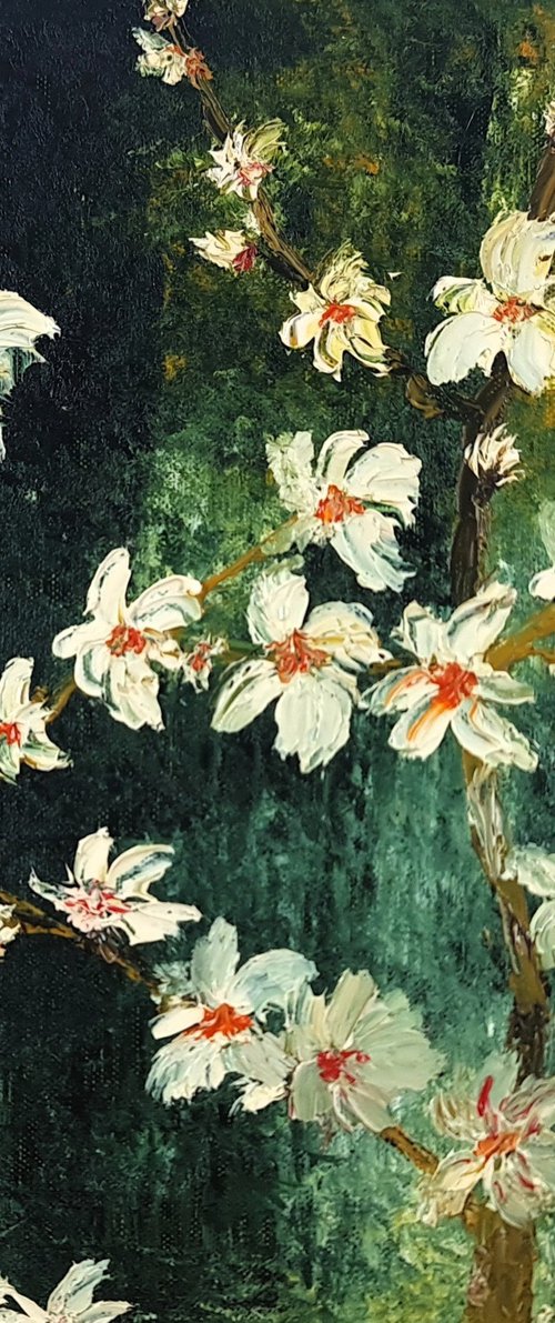 Cherries in bloom by Daniel Urbaník