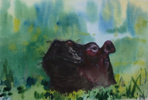 hippopotamus by Elena Sanina