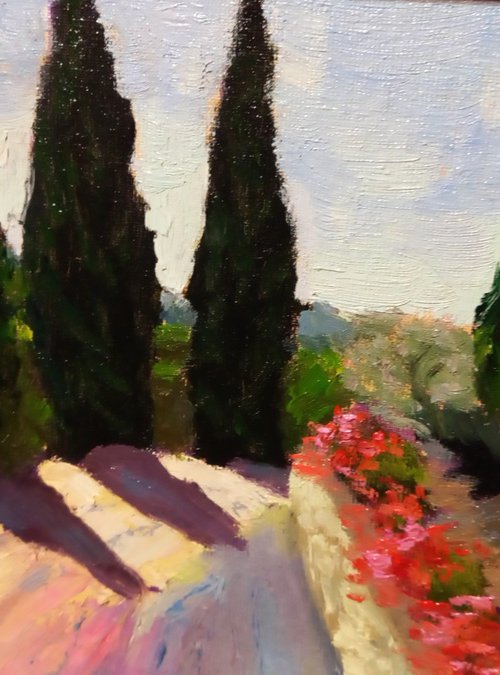 Cypres Tree Alley by Andrea Bocedi