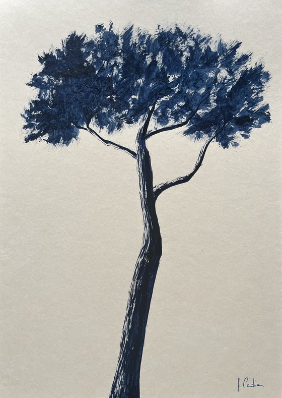 Indigo pinetree
