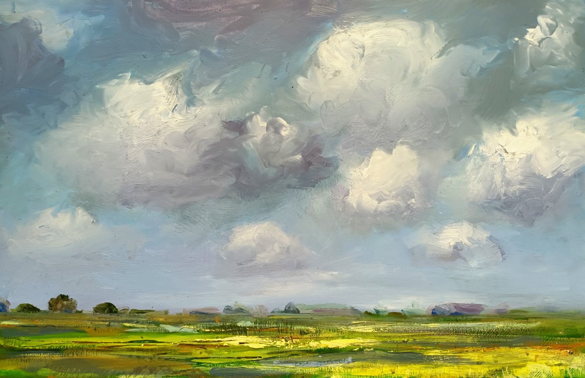 Dutch polder landscape 89 by Wim van de Wege