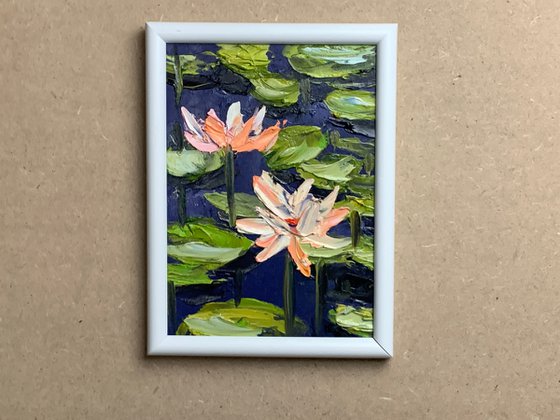 Water Lilly pond.