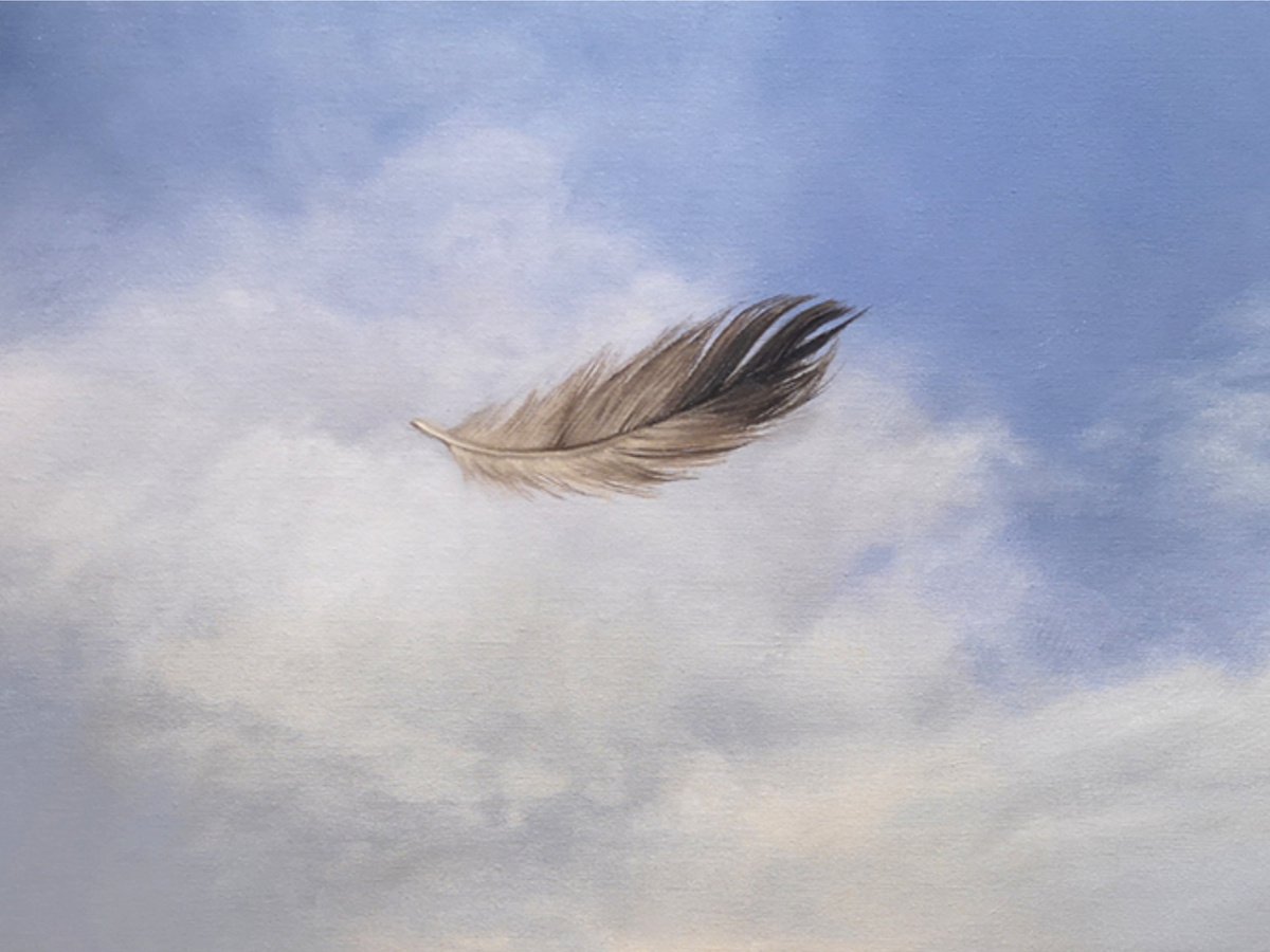 Falling feather by Mike Skidmore