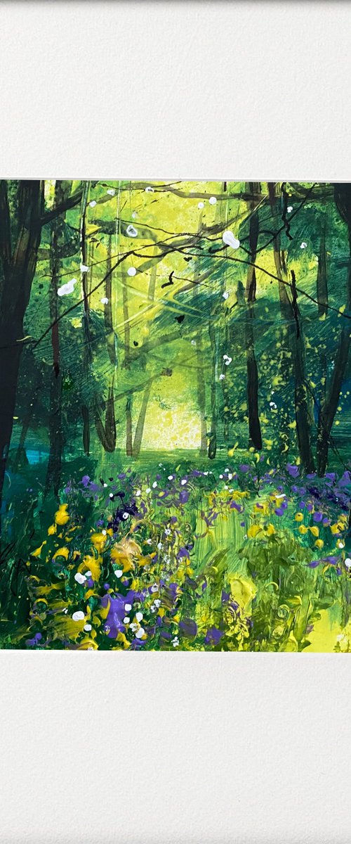 Seasons - Spring Milkmaids & Primroses in Woods by Teresa Tanner