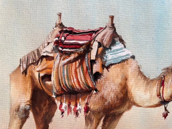 "Golden Sands Companion"