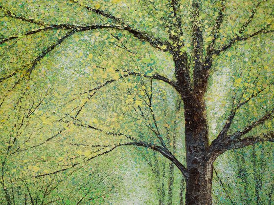 WHEN SPRING COMES ALIVE