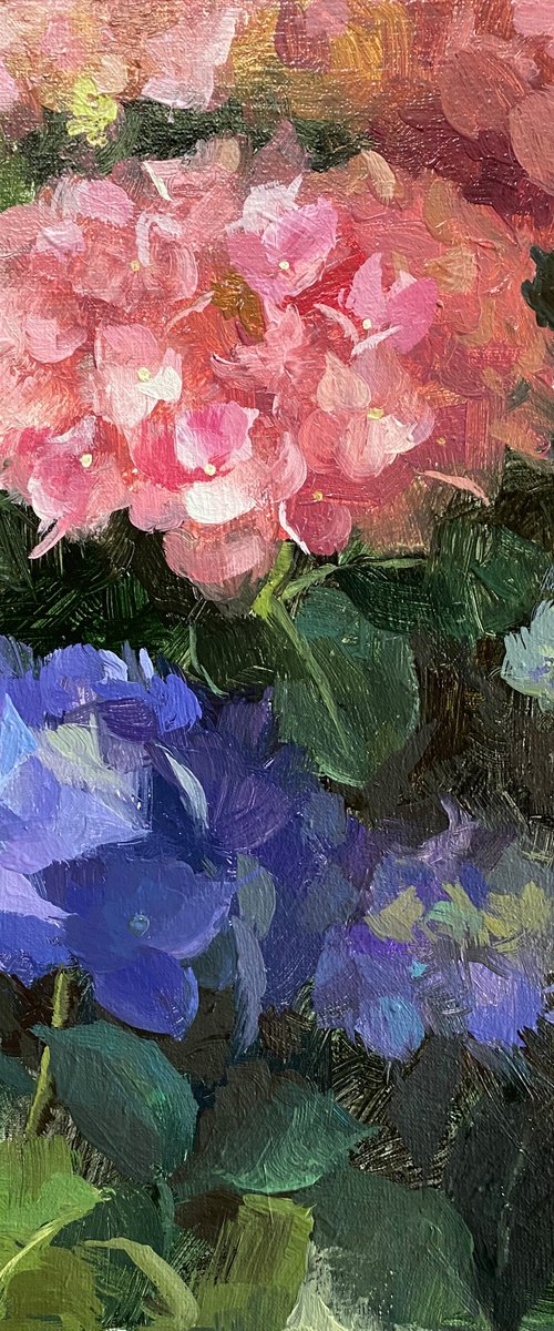 Hydrangea Garden #3 by Ling Strube