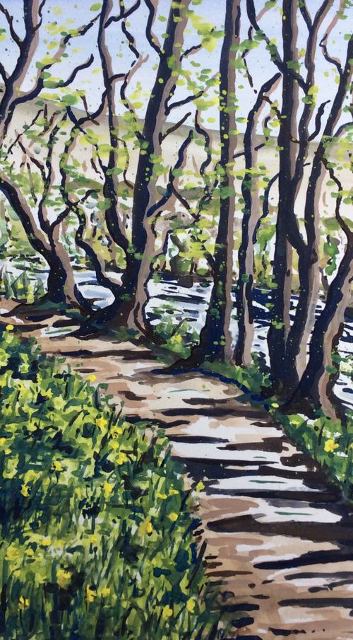 Dunsford Daffodil Woods by Lucy Smerdon