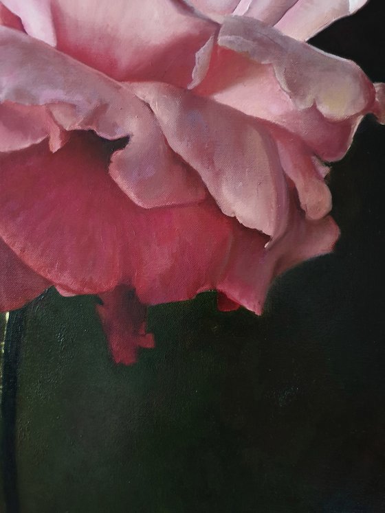 "With the first rays..." rose painting 2021