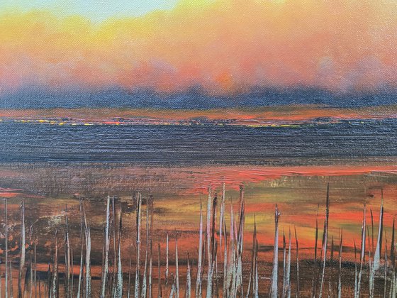 Marshland Solace