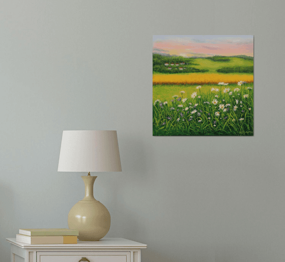 Daisy meadow landscape