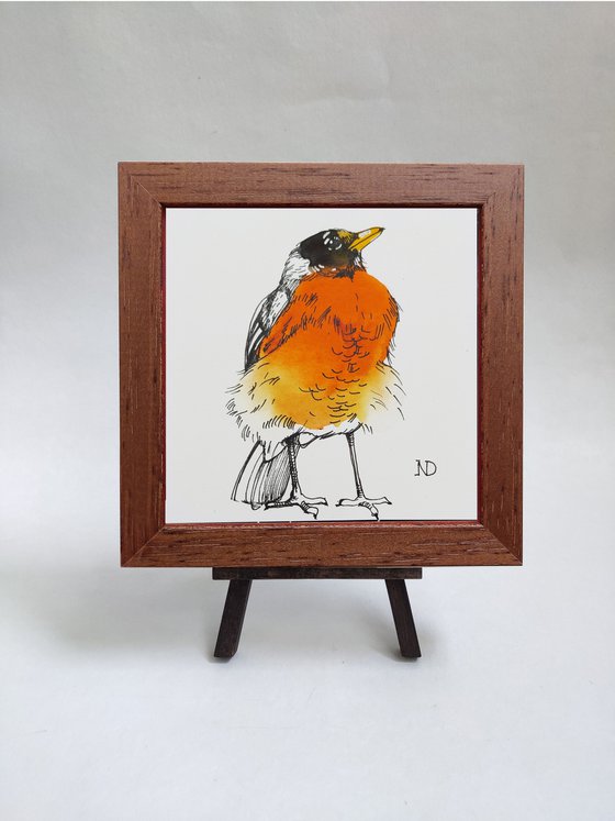 Robin bird watercolor painting original 4x4, Original bird ink line drawing sketch framed artwork, Shelf decor idea