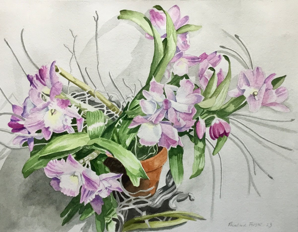 Botanical Watercolour By Rosalind Forster, 17 X 14", Orchid, Original Artwork
