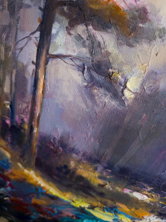 Forest Light Sequence