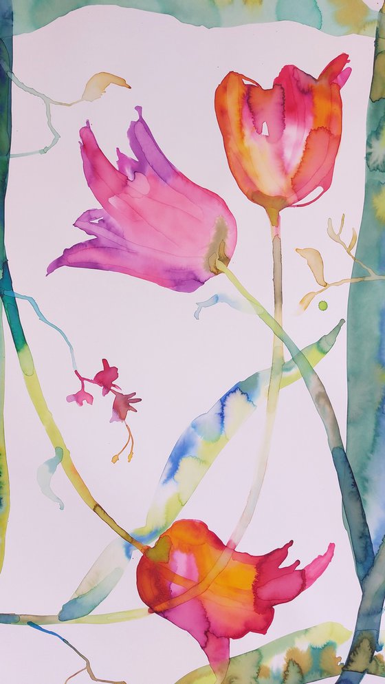 Tulips