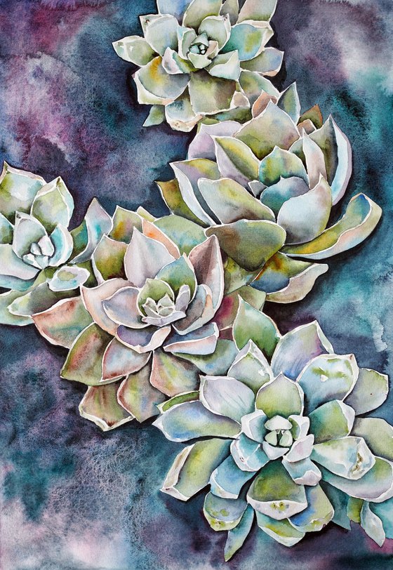 Succulents