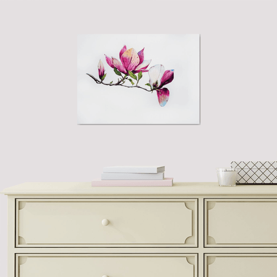 Magnolia flower