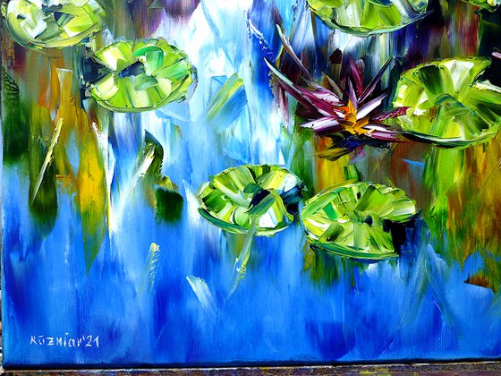 Water Lilies And Lotus Flowers