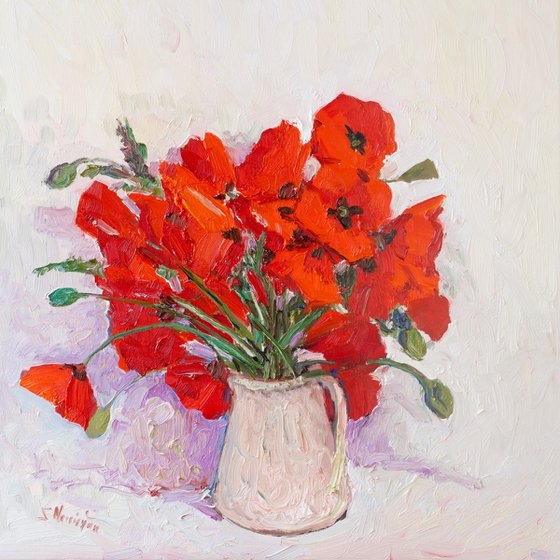 Wild Poppies on the White Background