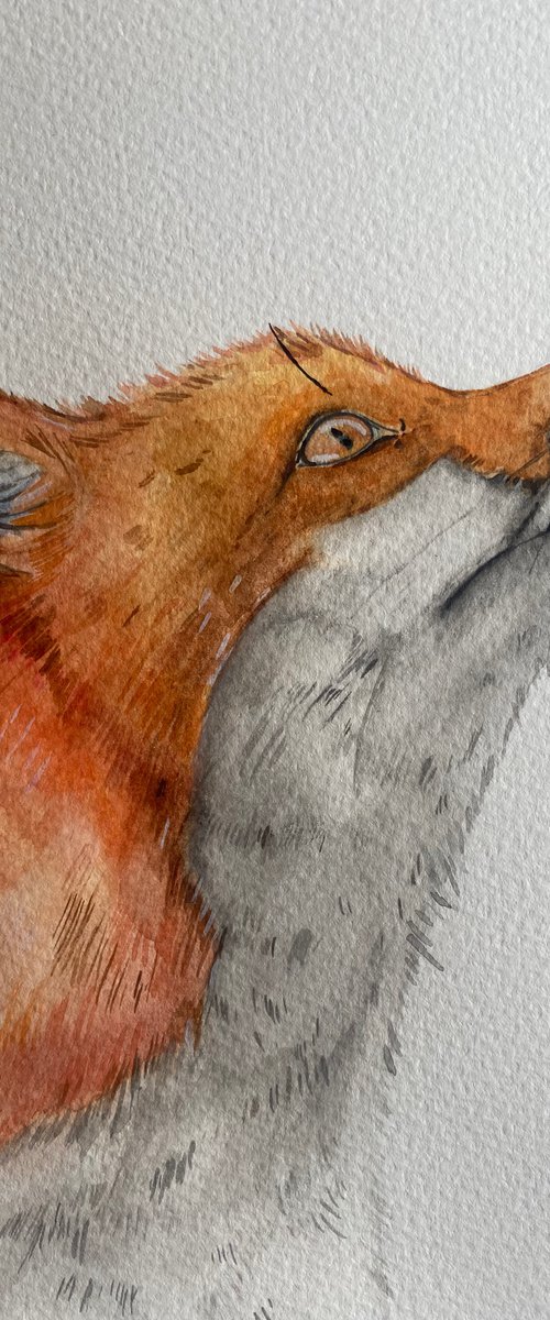 Watercolour fox by Bethany Taylor