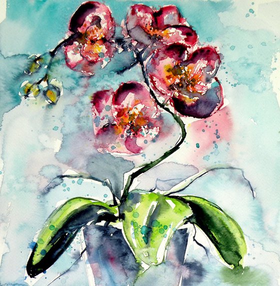 Orchid still life II