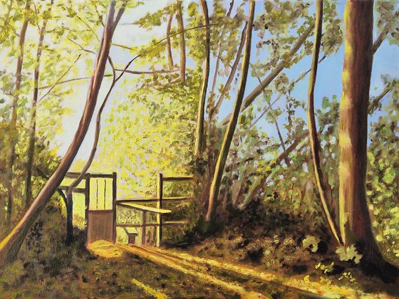 Evening Light on a Sussex Footpath