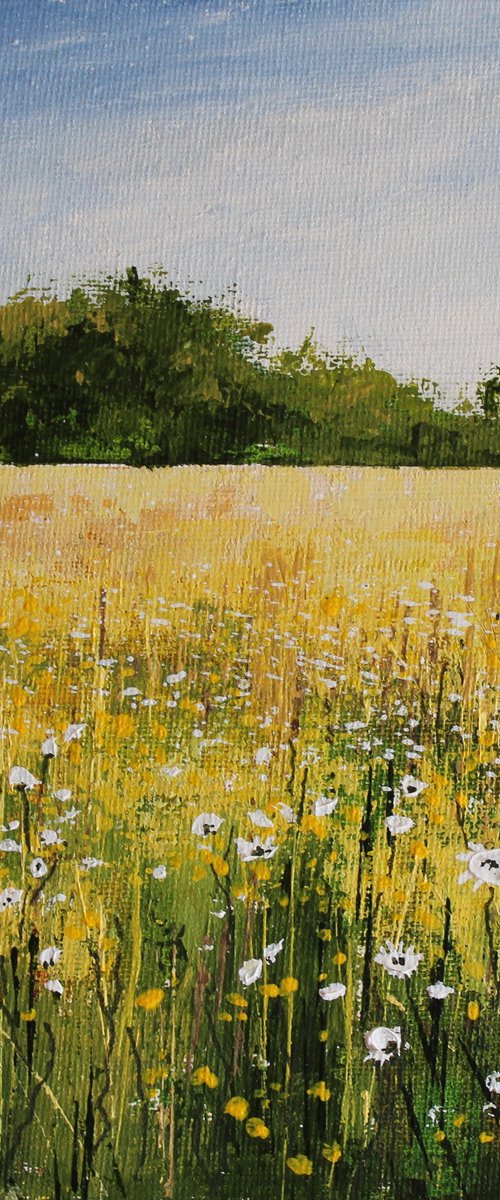 Buttercups and Daisies by Valerie Jobes