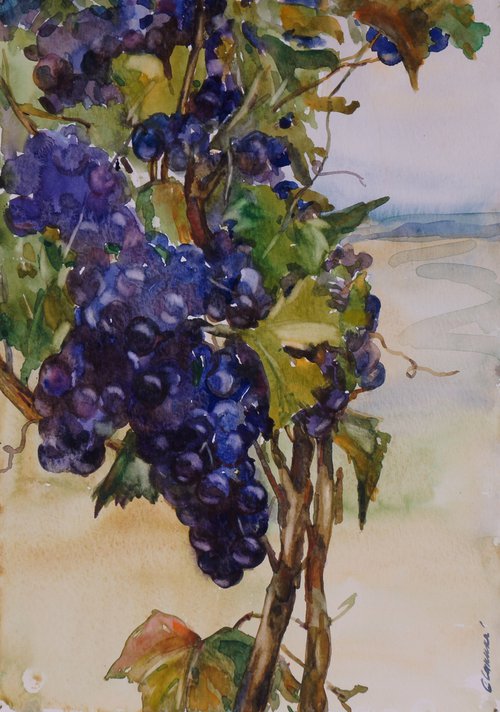Grape by Elena Sanina