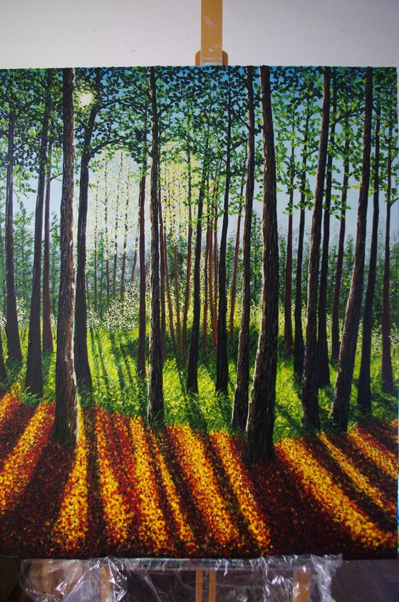 Autumn Forest Light