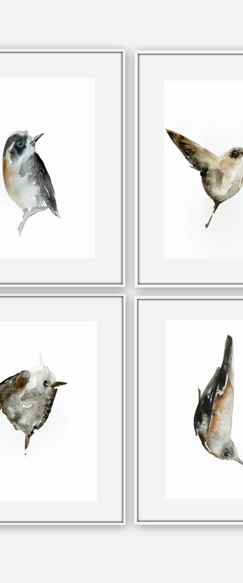 Set of 4 Bird paintings. by Nadia Moniatis