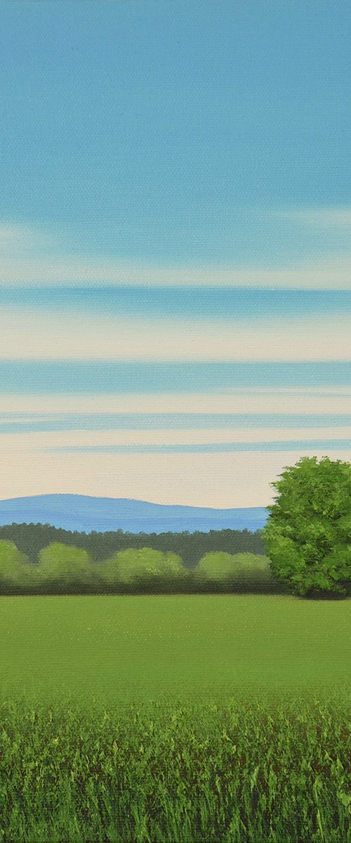 Countryside Vista - Blue Sky by Suzanne Vaughan