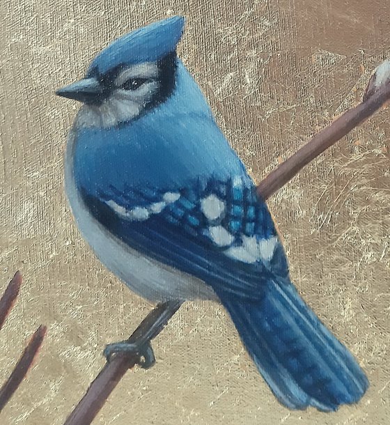 blue birds painting "Spring Jays"