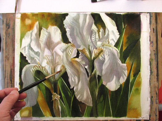 Double white irises