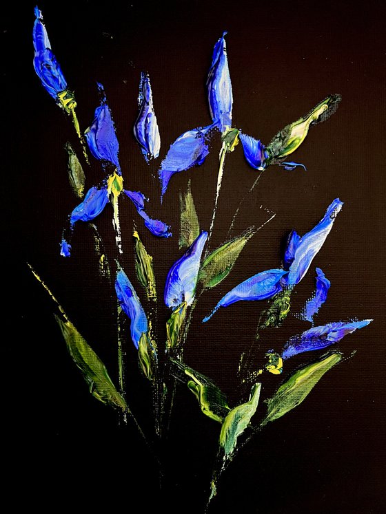 IRISES AND HERBS - Black miniature. Flowers on black.