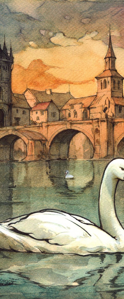Swan in Prague by REME Jr.