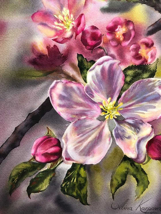 Apple blossom