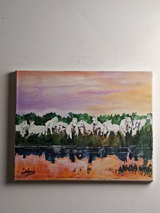 White horses and reflections