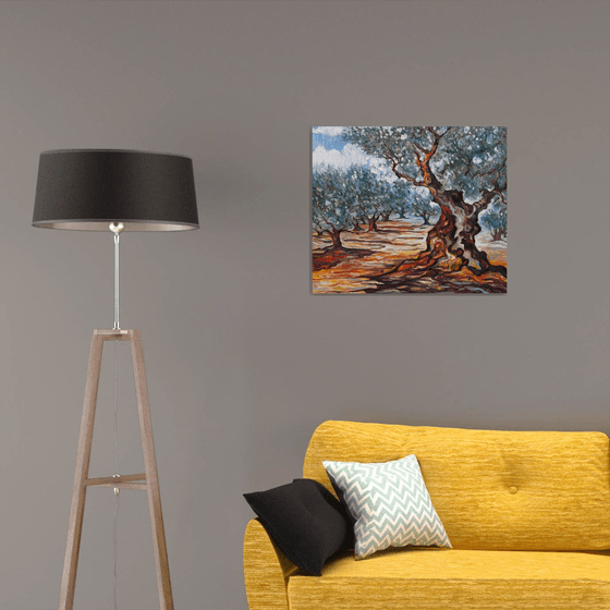 Olive Grove