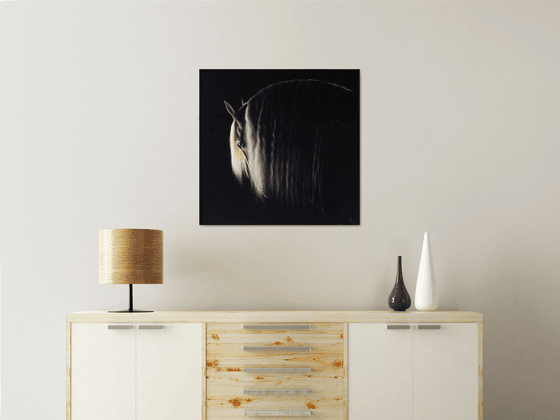 Light on the horse's mane