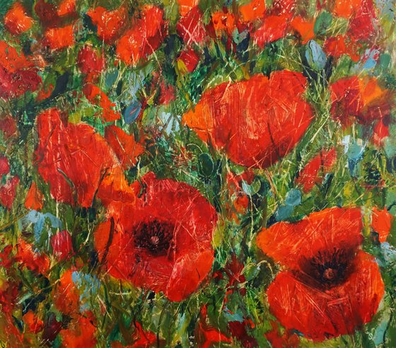 Poppies  (hot wax on OSB)