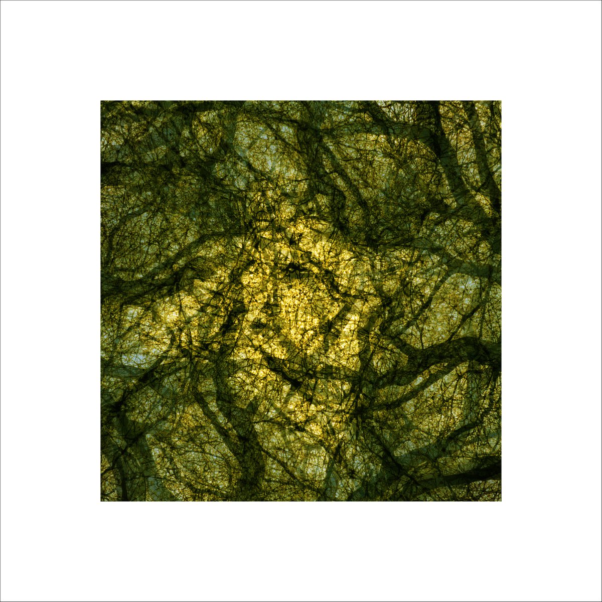 Abstract Photograph By Paul Harrison, 30 X 30", Signs #27, Original Artwork