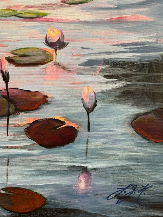 Water Lilies Land 1