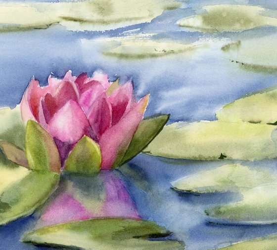 Blooming Lotus flower