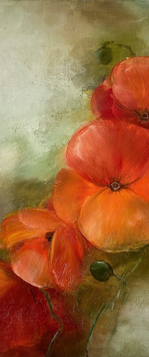 Poppies on Olive by Anna Lyashenko