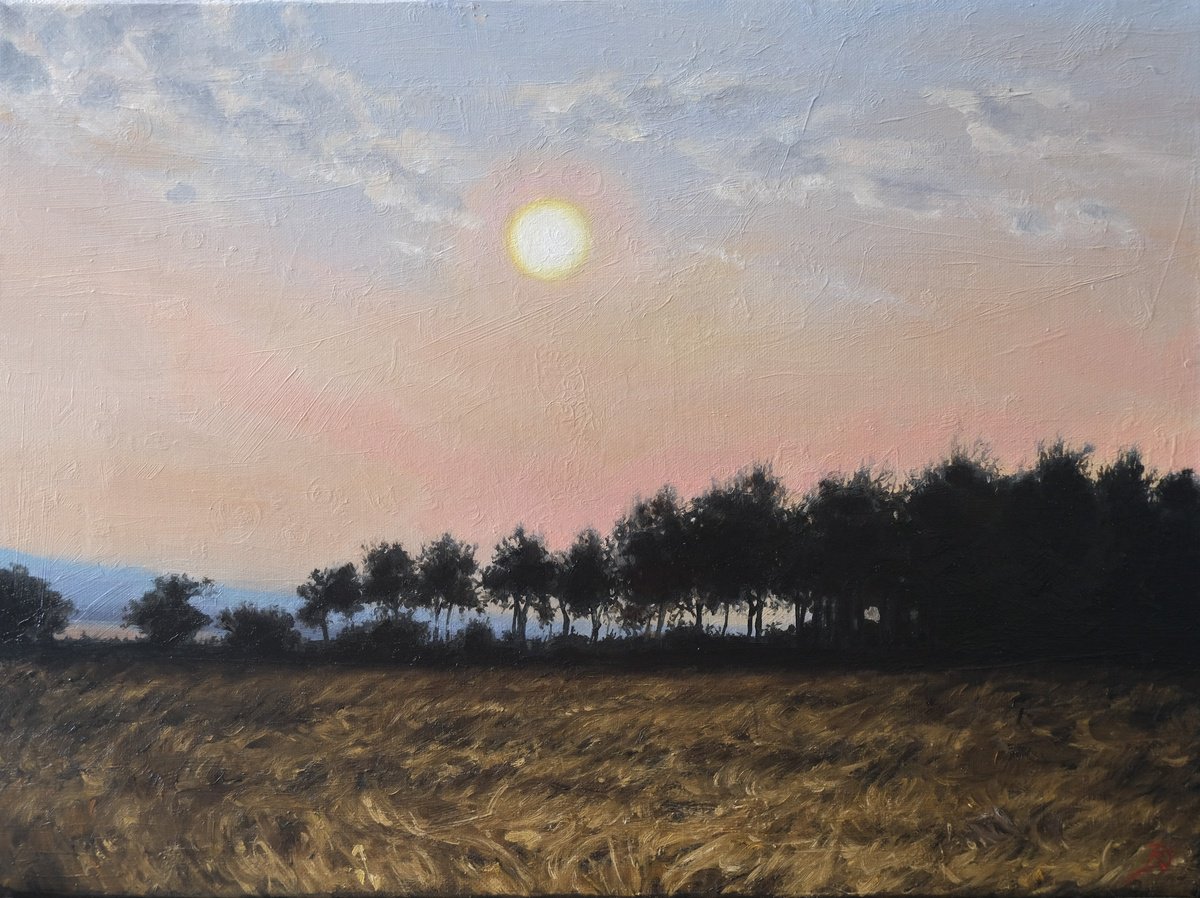 Organic Landscape Oil Painting By Kerry Lisa Davies, 16 X 12", At The End Of The Day, Original Artwork